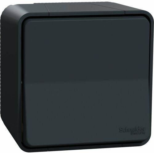 Conector scară Schneider Electric Mureva Style Antracit MUR35021 132687835