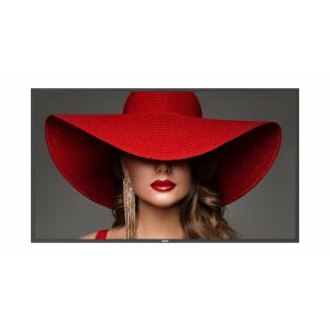 Monitor Philips D-Line 55BDL4650D/00 132713721 - Falikép