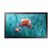 Monitor profesjonalny QB13R-T 13 cali Matowy, Dotykowy 16h/7 250(cd/m2) 1920x1080 (FHD) S6 Player Wi-Fi 3 lata OnSite (LH13QBRTMGCXEN) 138855556