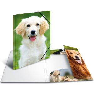 Herma Sammelmappe A3 Hunde din polipropilenă (7144) 132792301 - Cabluri UTP