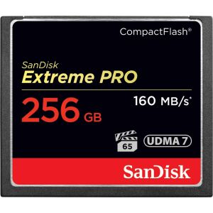 Karta pamięci Compactflash SanDisk Extreme PRO 256GB 160/140 MB/s 132849124 - SanDisk Karta pamięci