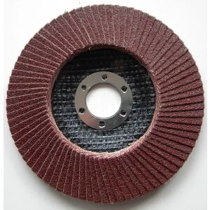 Graphit-Lamellenschleifscheibe 125x22,2 mm K40 Zirkonia - 57H841 132857034 - Zubehör für Schleifmaschinen