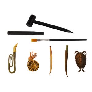 Ancient Creatures Ausgrabungsset Ausgrabungswerkzeuge und Fossilienproben - Wissenschaftliche und Entdeckerspiele