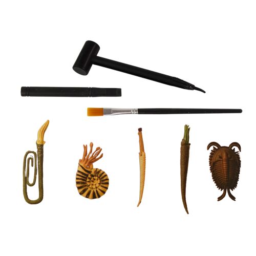 Set de su0103pu0103turi Ancient Creatures unelte de su0103pu0103turi u015fi specimene fosile