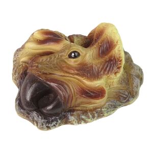 Nahaufnahme des Triceratops-Fossilienkopfes aus dem Ausgrabungsset - Wissenschaftliche und Entdeckerspiele