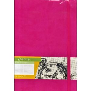 Notizbuch A5 Dots Impression Pink ANTRA 133038459 - Schreibwaren für das Büro