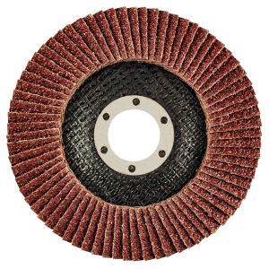 Lamellenschleifscheibe aus Graphit (Lamellenschleifscheibe 115 x 22,2 mm, K36) 133048978 - Zubehör für Schleifmaschinen