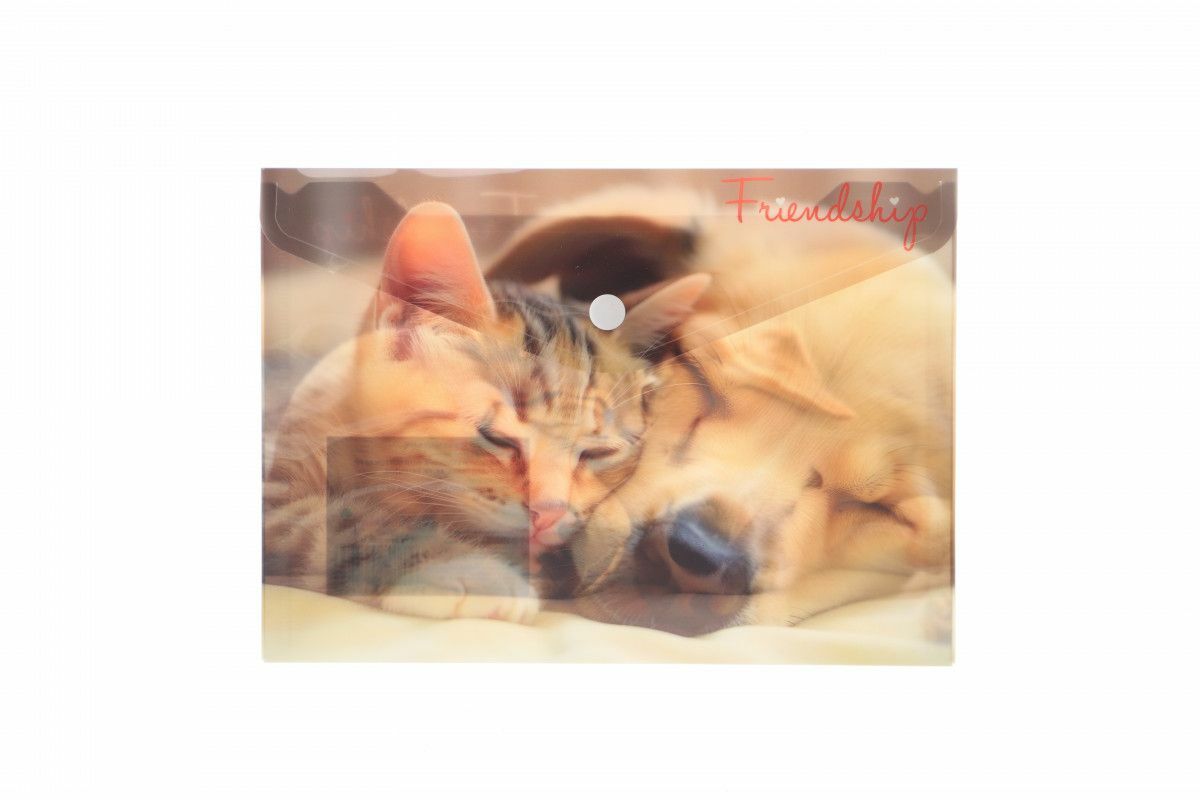 Plic A5 PP cu imprimeu Friendship