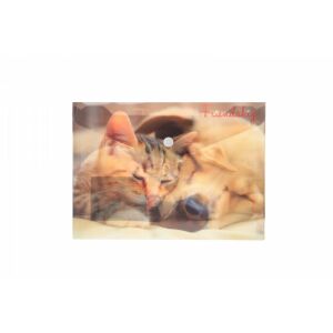 Plic A5 PP cu imprimeu Friendship 133090200 - Huse de protecţie acte