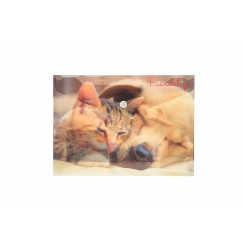 Plic A5 PP cu imprimeu Friendship 133090200