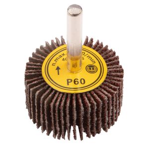 Lamellenschleifscheibe aus Graphit (Lamellenschleifscheibe, 40 x 20 mm, K60) 133092604 - Zubehör für Schleifmaschinen