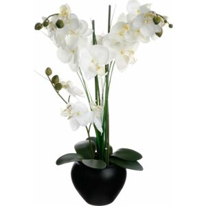 Atmosphera Orchidea fekete edényben 53 cm 133124880 - Lakberendezés