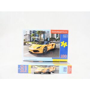 Puzzle 100 Arrinera Hussarya 33 CASTOR