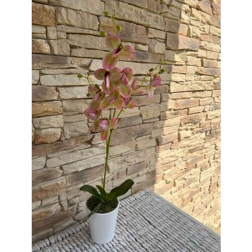 Orchidea Művirág 1 szálas kaspóban #rózsaszín-zöld 42109780