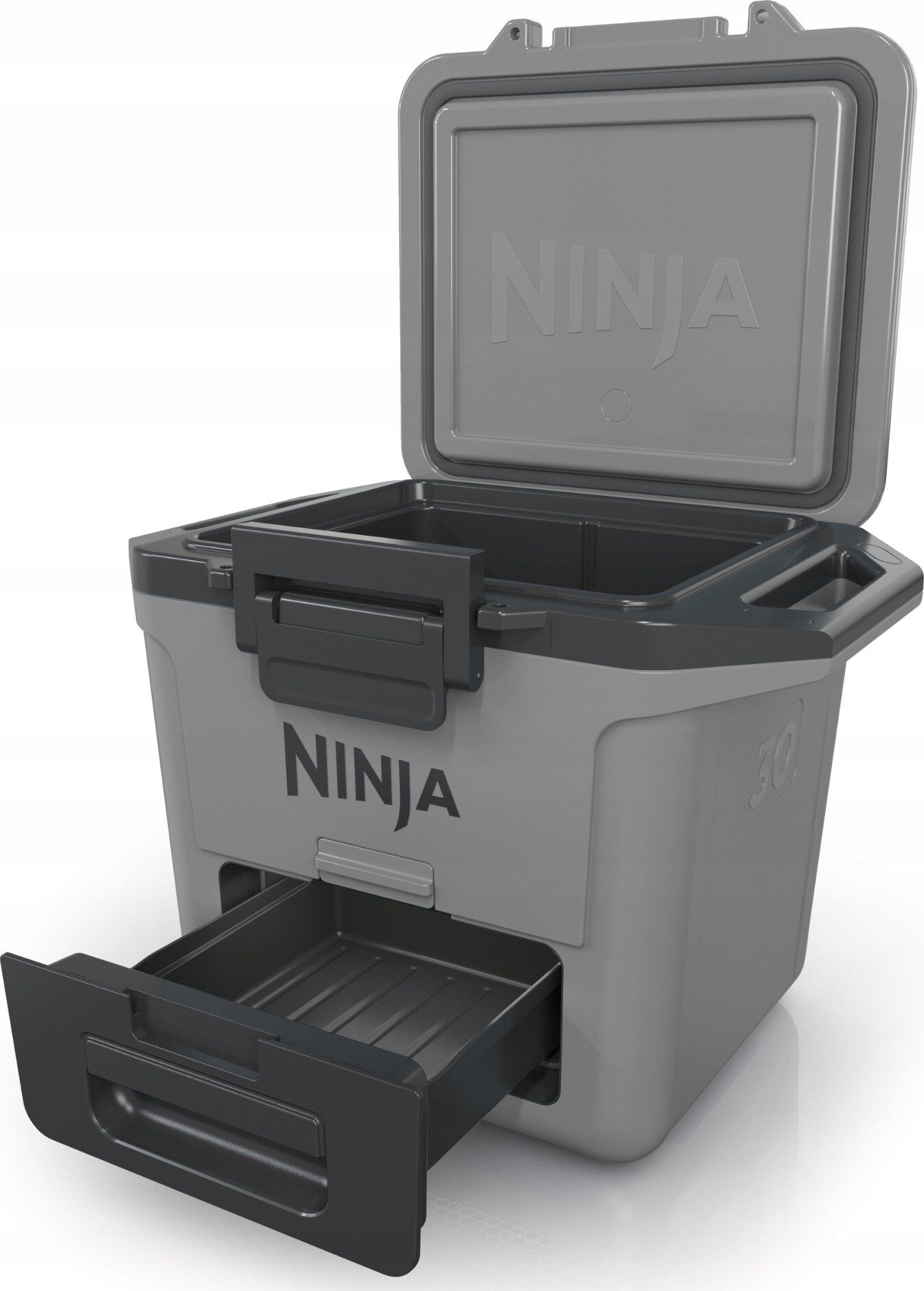 Ninja Ninja FrostVault 28 L         FB131EUGY