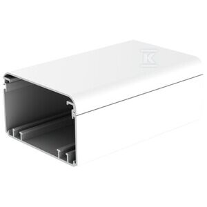 Elektroinstallationskanal 100x60mm EKE 100X60 /2m/ 133207576 - Kabelkanäle