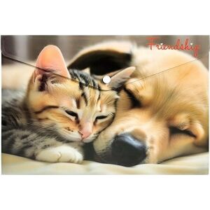 Plic A4 PP cu imprimeu Friendship 133212103 - Huse de protecţie acte