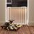 Springos safety gate for dogs