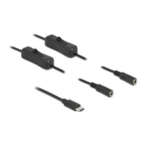 Delock USB Type-C apa 2 db. DC 5,5 x 2,1 mm anya csatlakozójú, 1 méter hosszú kábel (86800) 133714436 - DC kábel