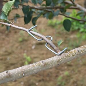 Ágformázó Készlet - 20 db Gyümölcsfaág Hajlító