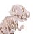 3D fa makett, T-rex 33cm 133873298