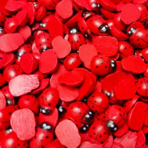 Dekor fa katicabogár 134150814 - Fa felirat & dekorációs elem