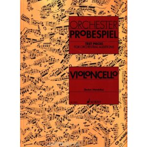 Orchester Probespiel - Violoncello 134363784 - Művészet & Építészet