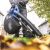 Scheppach BC-BLV720-X cordless leaf blower vacuum in use, collecting leaves