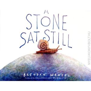 A Stone Sat Still 134389608 - Chronicle Books
