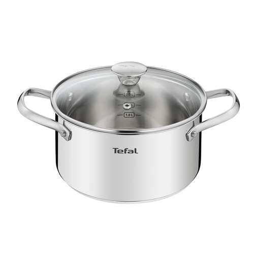 Tefal Cook Eat Garnek ze stali nierdzewnej 20 cm ze szklaną pokrywką