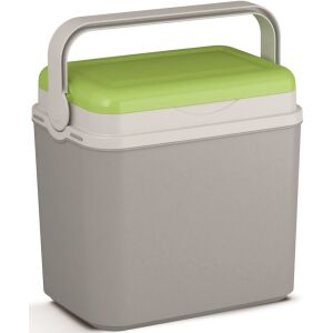 Graue und grüne 10L Kühlbox mit Griff - Lebensmittel- & Getränkebehälter