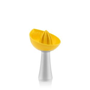 IRIS L-00464 Practica citrom facsaró 135052799 - Iris