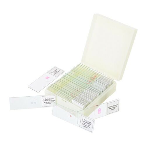 Levenhuk Discovery DPS 25. tárgylemez készlet 135059637