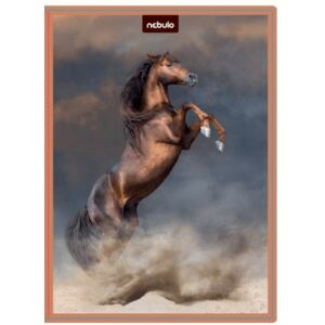 Lovas füzetbox A/4, hullámkarton, gazdaságos kivitel, Nebulo 135128147 - Nebulo