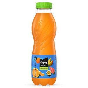 Cappy Ice Fruit Multivitamin - 0,5l 135380753 - Gyümölcslé