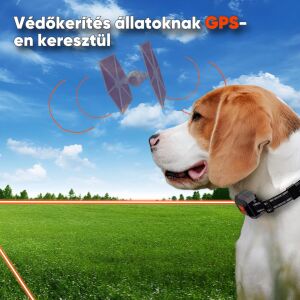 Vezeték nélküli láthatatlan kerítés, minden típusú kutyának, HexaCraft, Elektromos nyakörv a kutyák GPS-en keresztüli biztonságának teljes rendszerével, NEM igényel kábelt vagy jeladót, ingye 135536481 - Tréning eszköz kisállatoknak
