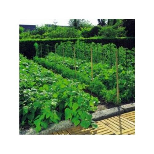 Trellinet plant support net 1.2x10m in use, supporting growing plants in a garden