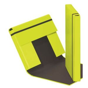 Füzetbox, A4, 40 mm, karton, PAGNA "Trend", lime zöld 135699900 - Iratrendezés