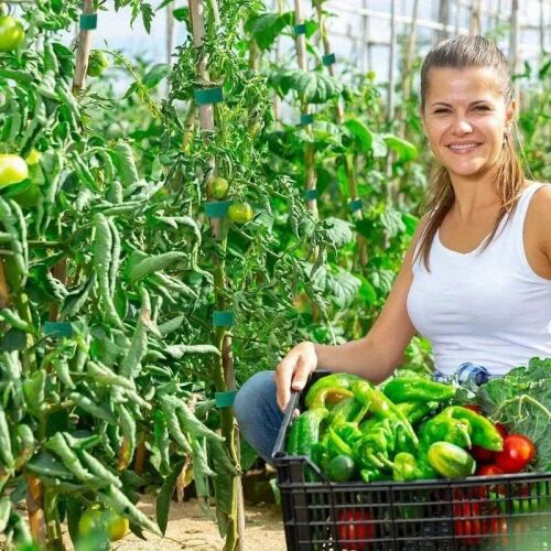 5 m-es tekercs prémium újrafelhasználható nejlon növényi kötőelem 135730291