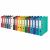 Full range of Esselte Standard Vivida A4 ring binder colors.