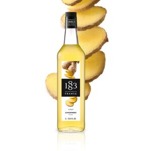 1883 Maison Routin Gyömbér szirup 1L 135887806 - Szirup