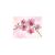 Diamond Dotz: Orchidea - 31 x 41 cm 144951126