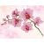Diamond Dotz: Orchidea - 31 x 41 cm 144951126