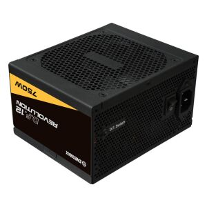 Enermax 750W 80+ Gold Revolution D.F.12 Black ATX 3.1 (ETV750G) 136676779 - Computer und Zubehör