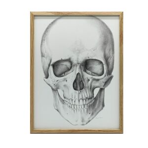 KERET FALI PLAKÁT KOPONYA ANATÓMIAI NAGY 30X40 CM 136831016 - Lakberendezés
