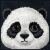 Közelkép a panda mintáról a Nimmy iPhone 16 tokon