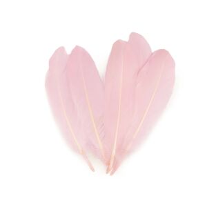 20 darabos Kyrra banda dísztoll szett, 15-21 cm hosszú, púderrózsaszín 137046992 - Őszi dekorációs kellék