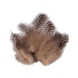 20 dekoratív tyúk tollból álló készlet, hossza 5-12 cm, bézs 137046996 - Őszi dekorációs kellék