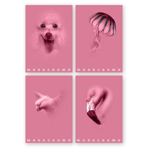 Füzet Pigna Monocromo Pink A/4 tűzött 38 lapos kockás 137085538