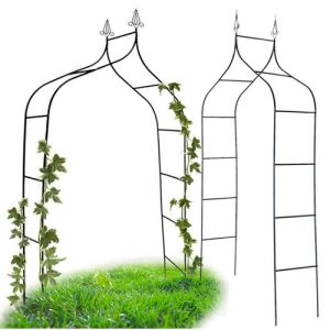 Arcadă de grădină cu trandafiri, foișor metalic pentru plante cățărătoare - Gradinarit